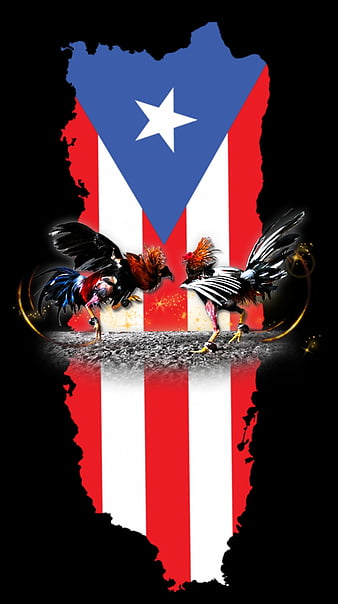 Puerto Rico Flag Gallos Hd Mobile Wallpaper Peakpx