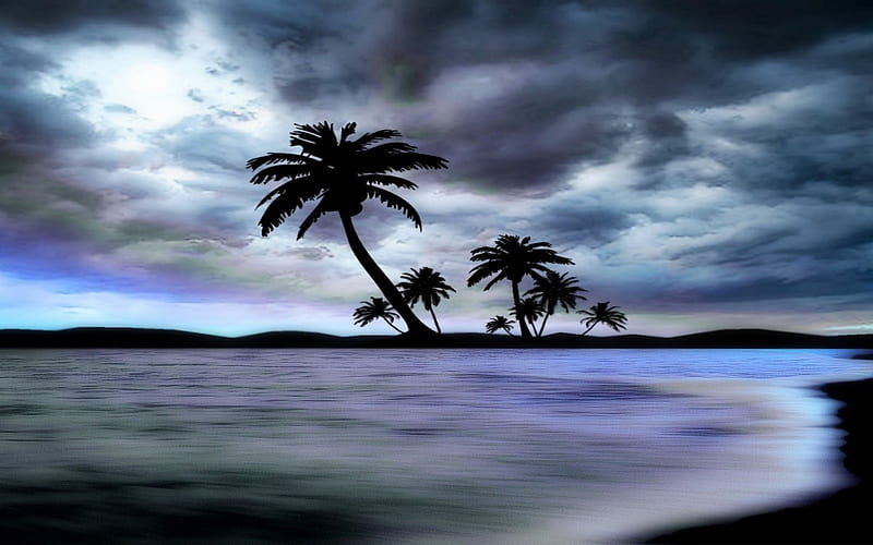 MOONLIT BAY, ocean, clouds, sky, bay, palm trees, moonlit, HD wallpaper