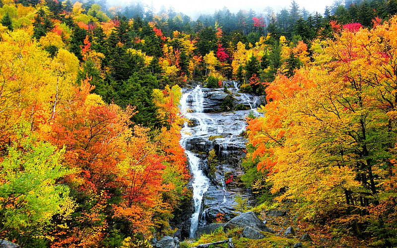 White Mountain Waterfall, Fall, forest, rocks, trees, waterfalls, White Mountain, mountain, water, waterfall, Autumn, New Hampshire, HD wallpaper