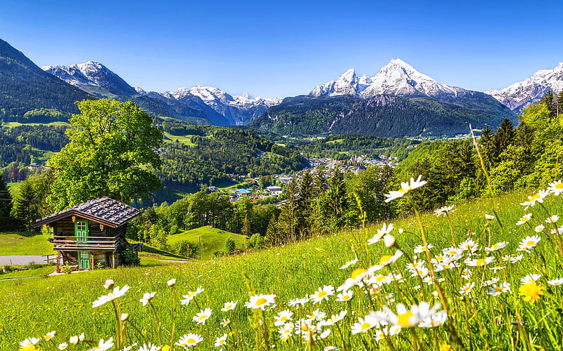 Alps, meadows, mountains, summer, Germany, Europe, HD wallpaper
