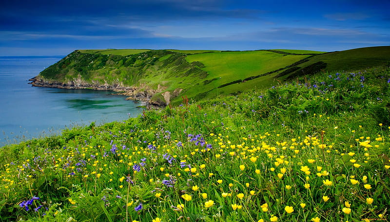 Beautiful coastal view, rocks, view, grass, greenery, bonito, sky, sea ...