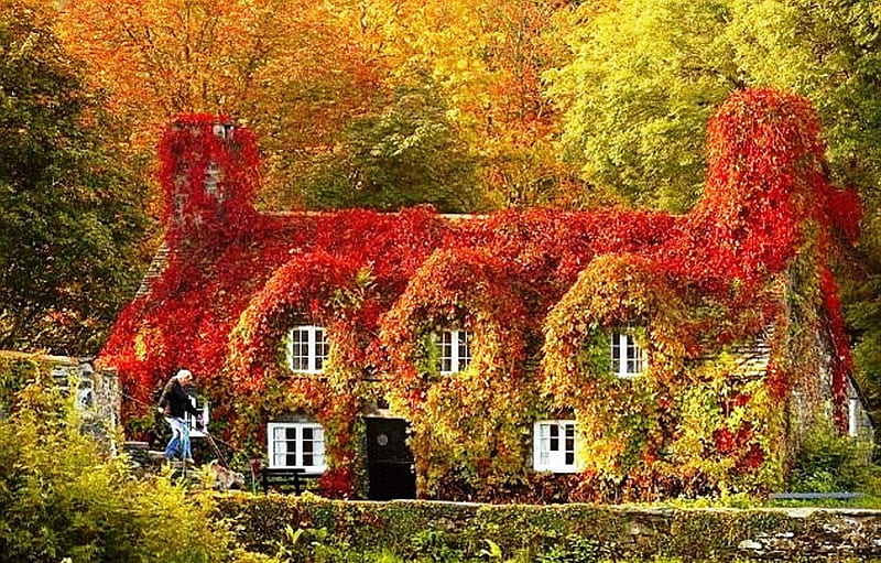 Welsh Village, Fall, Houses, Leaves, Wales, Autumn, Quaint, Village, HD wallpaper