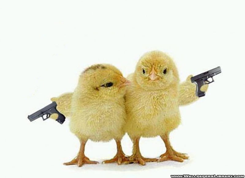 Chicken Gun for iPhone - Download