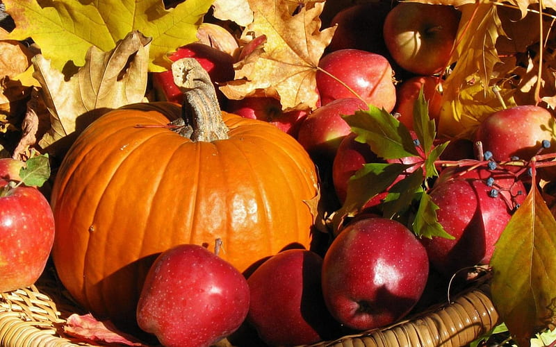 Autumn Harvest, Fall, still life, leaves, Thanksgiving, basket, pumpkin ...