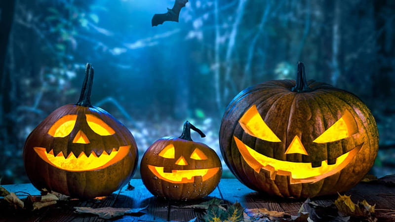 Three Pumpkins Halloween Face In Dark Forest Background Halloween, HD wallpaper