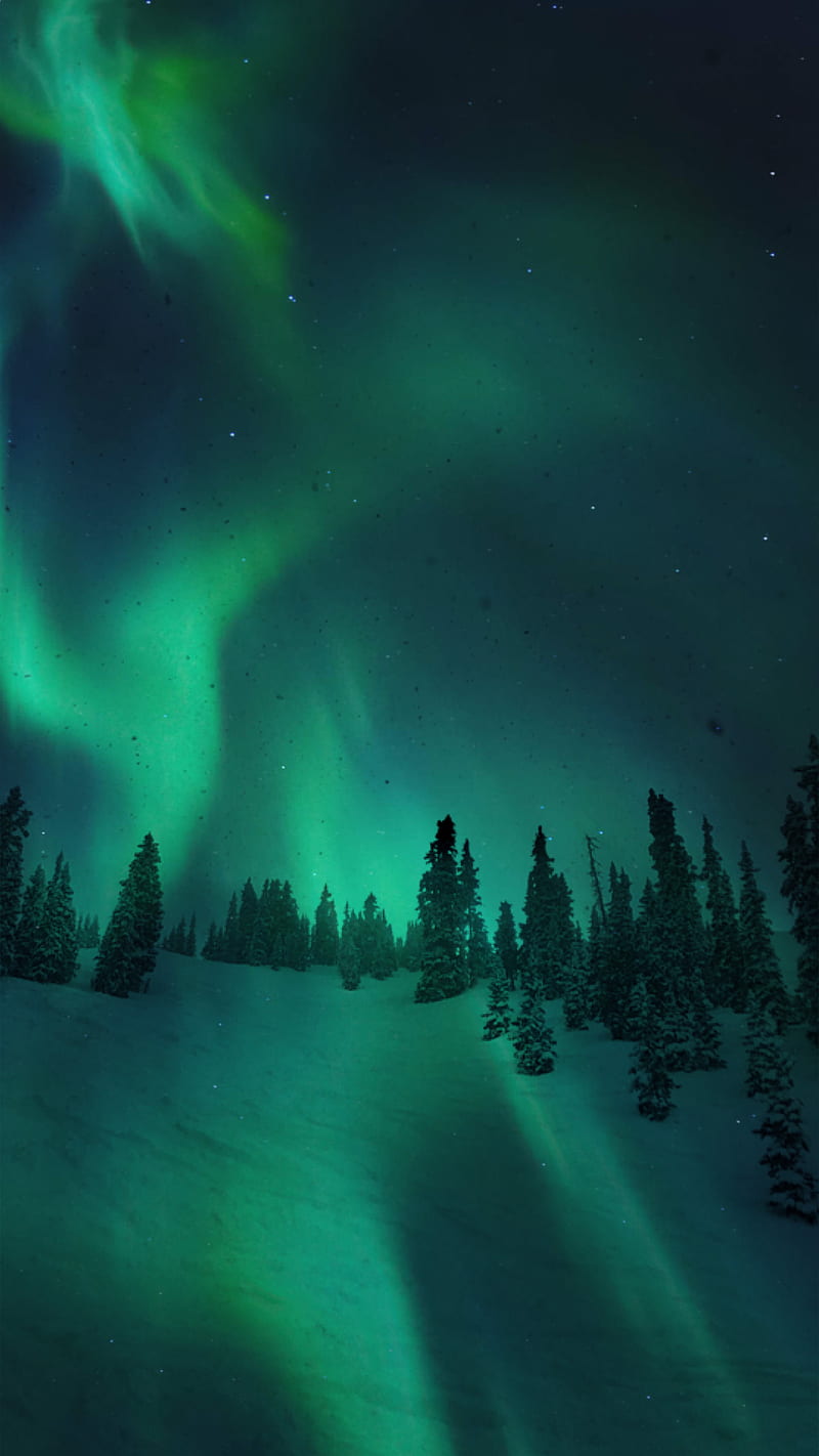 Green Aurora Lights, galaxy, landscape, light, nature, northern lights, snow, trees, white, HD phone wallpaper