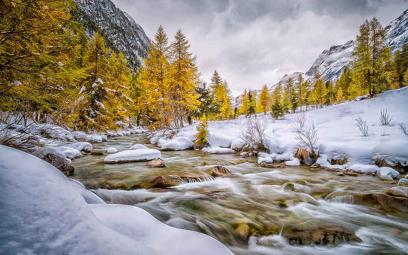 winter, mountain river, snow, yellow trees, early winter, mountain landscape, USA, HD wallpaper