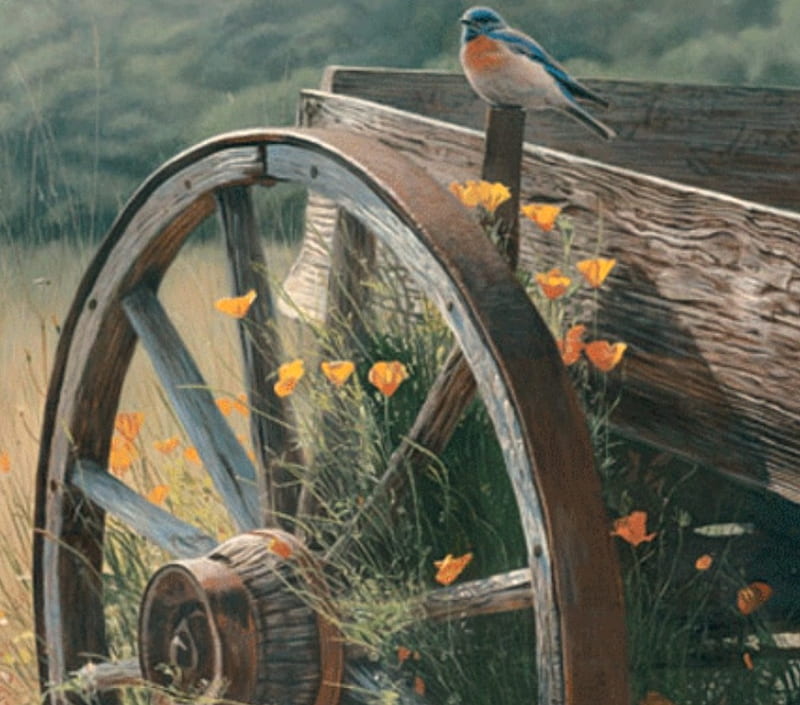 blue and old, wagon, wildflowers, wheel, trees, songbird, field, HD wallpaper