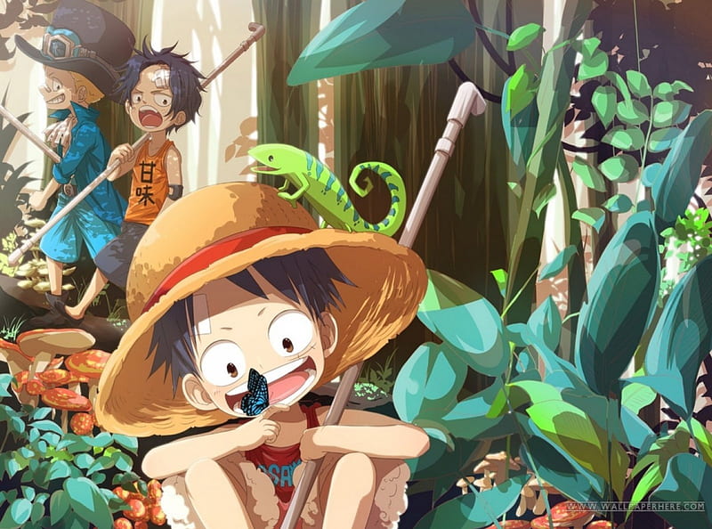 Come on Luffy!, pirates, sabo, bonito, anime boys, one piece, sweet, nice, fantasy, lizard, butterfly, anime, monkey d luffy, friends, kids, black hair, forest, male, smile, blonde hair, portgas d ace, trees, brown eyes, hat, short hair, cool, awesome, nature, HD wallpaper