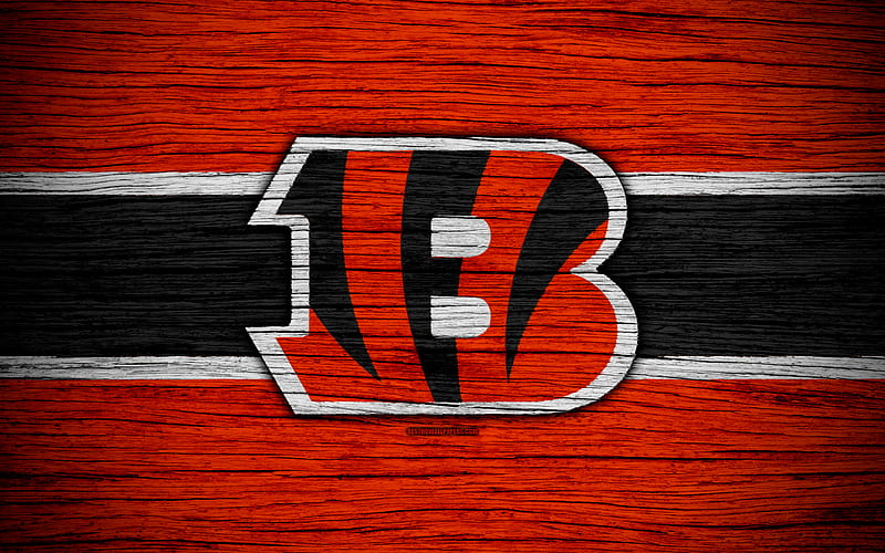 Cincinnati Bengals, NFL wooden texture, american football, logo, emblem, Cincinnati, Ohio, USA, National Football League, American Conference, HD wallpaper