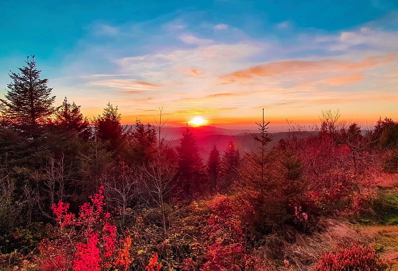 Autumn sunset in the Black Forest, Germany, sun, trees, sky, fall, leaves, colors, HD wallpaper