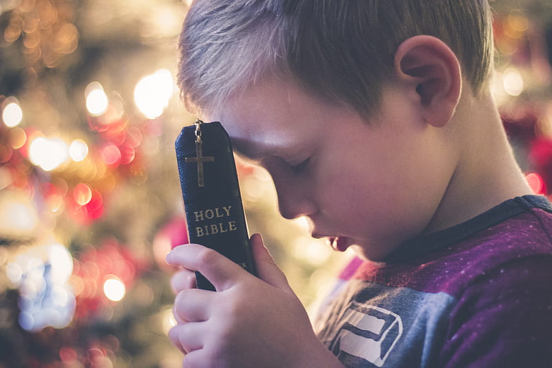boy holding Holy Bible, HD wallpaper