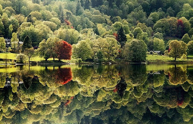 Haweswater Calm, fall season, nature, water, calm, HD wallpaper