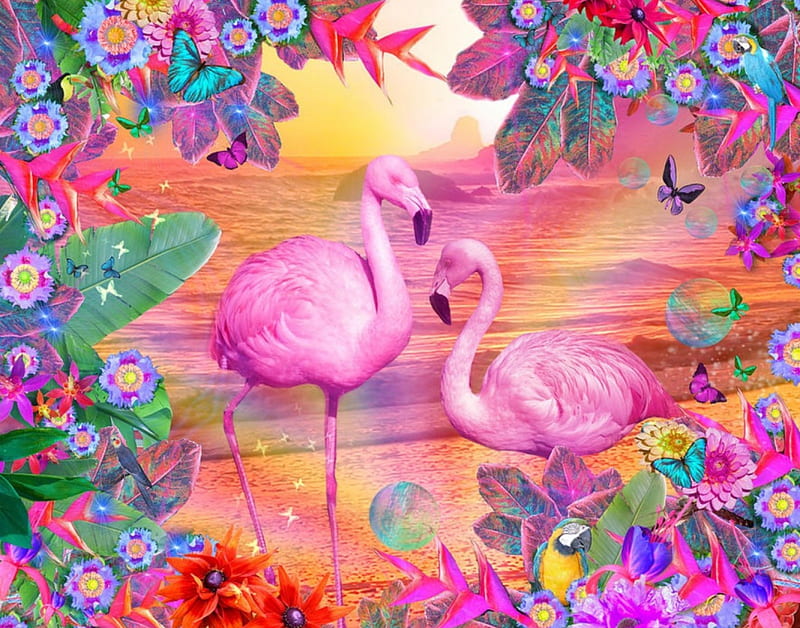 HD flamingo tropical wallpapers | Peakpx
