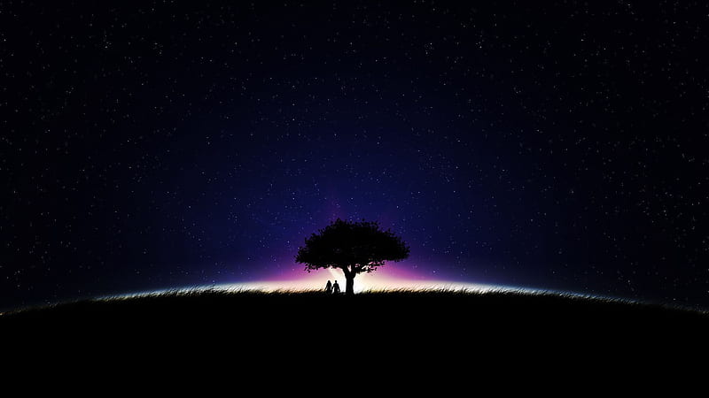 Couple Is Standing Under Trees During Nighttime Couple, HD wallpaper
