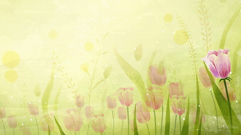 Spring Three, blurred, person, spring, misty, tulips, abstract, pink, HD wallpaper