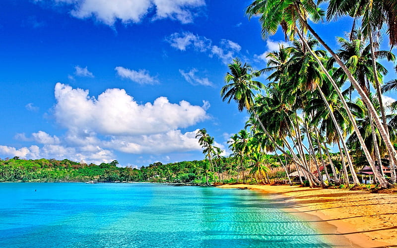 TROPICAL PARADISE, palm, waves, clouds, sea, beach, seashore, splendor ...