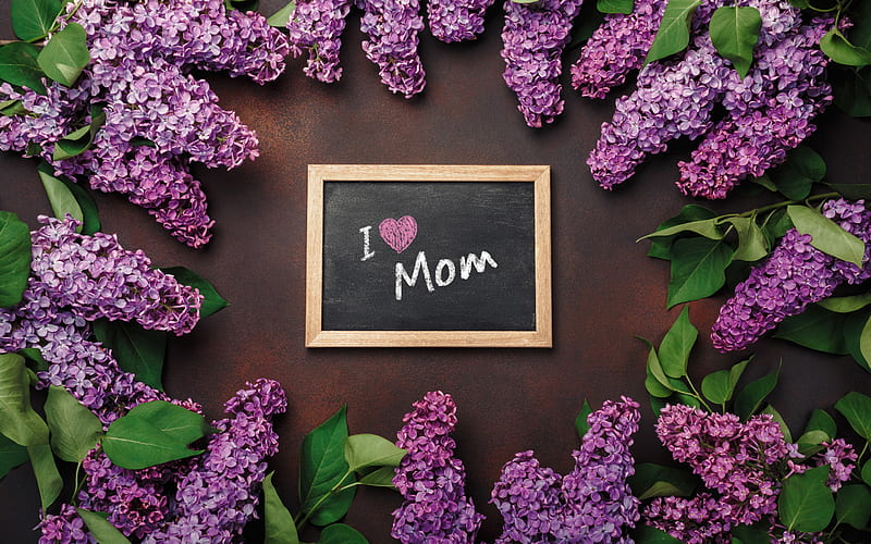 I Love Mom, Mothers Day, message to mom, lilac, spring frame, spring flowers, motherhood, beautiful floral frame, HD wallpaper