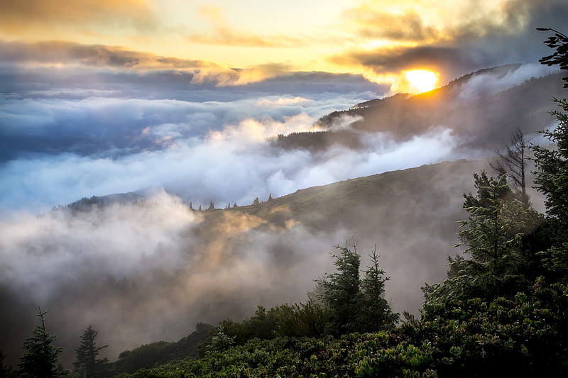 Mountains in the Mist, Sky, Fog, Mist, Sunsets, Nature, Mountains, Trees, Clouds, Sun, graphy, HD wallpaper