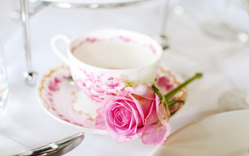 * good afternoon *, special, lovely, moments, sweet, pink rose, femininity, good afternoon, cup tea, pastel, cups, HD wallpaper