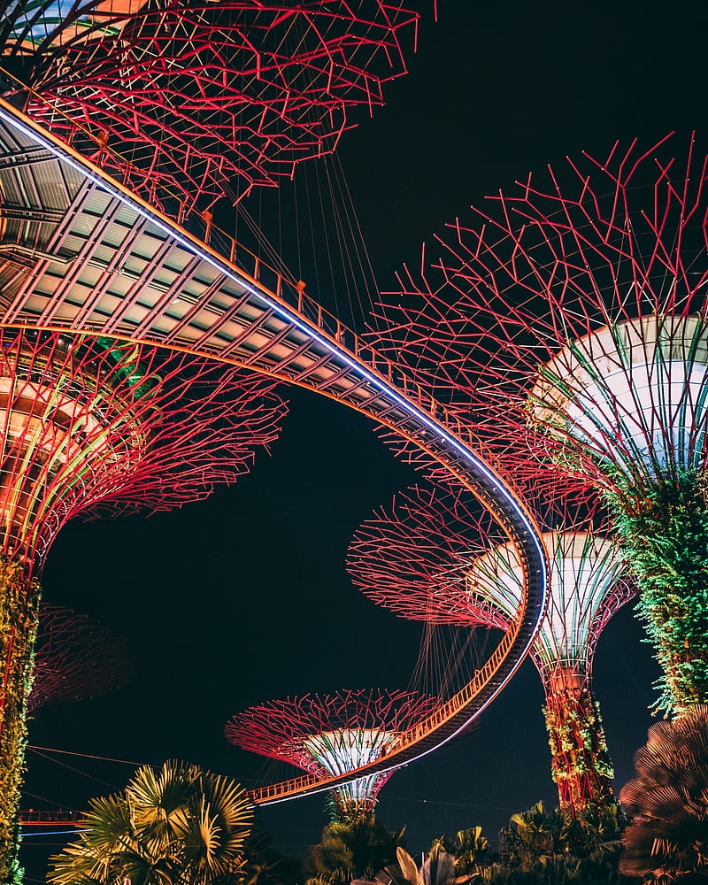 Garden by the Bay, Singapore, HD phone wallpaper