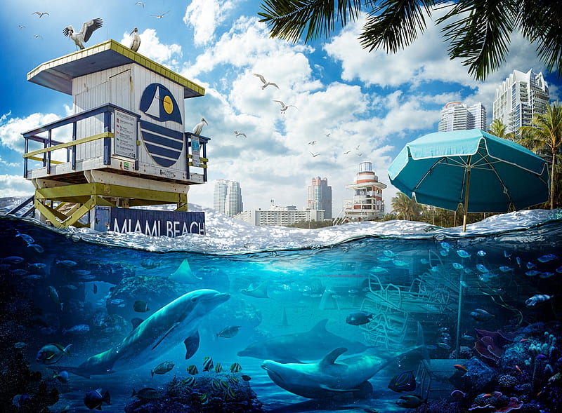 Florida Sea Level Rise Global Warming Ultra, Awareness, Earth, Nature, Stop, Underwater, desenho, Future, Change, Pollution, Warning, Miami, climatechange, globalwarming, thepricewepay, sealevelrise, pollutionresult, consciousness, responsible, HD wallpaper