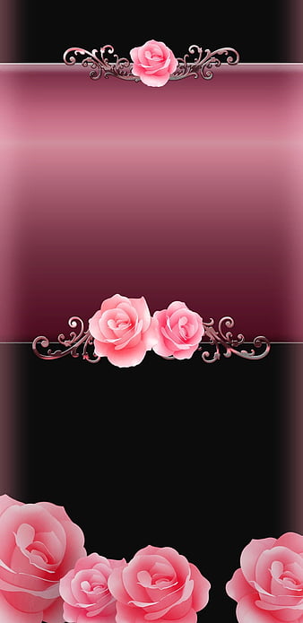 HD rosesarepink wallpapers | Peakpx