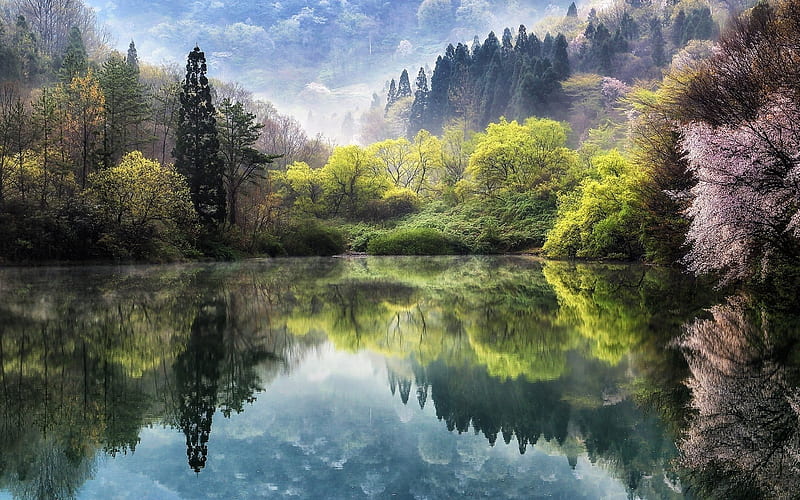 japan, spring, pond, mountains, sakura, HD wallpaper