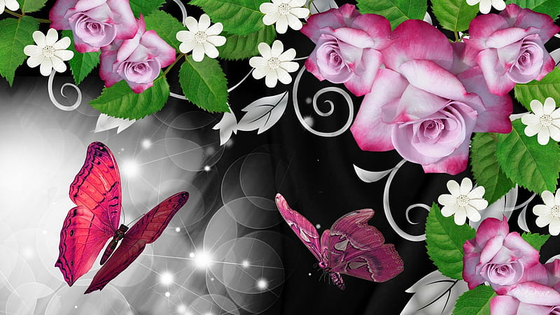 Pink Roses and Butterfly Shine, flowers, glow, wonderful, marvellous, dramatic, shine, astonishing, dar, sparkle, butterfly, papillon, flowers, pink, exciting, amazing, dramaturgic, wondrous, dramaturgical, sensational, otional astounding, stagy emotionalistic, marvelous, fabulous, butterflies, roses, eye-opening, melodramatic, awesome, surprising, histrionic, operatic, spectacular, HD wallpaper