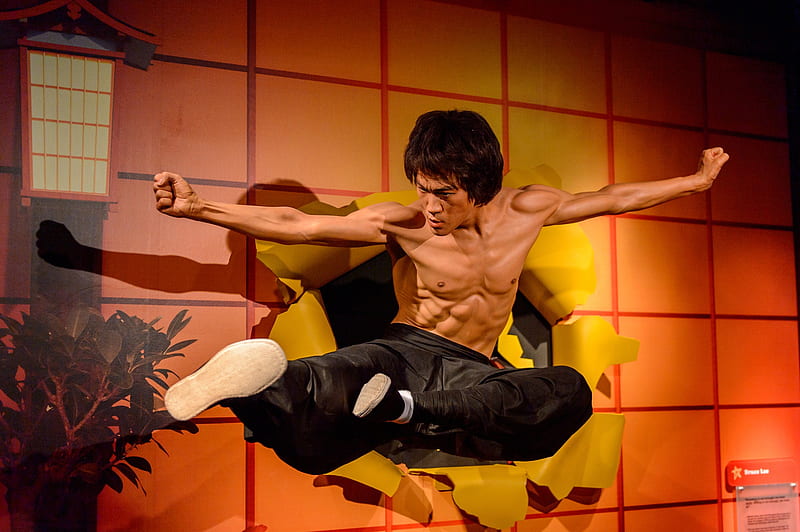 Bruce Lee's Workout Routine & Diet Plan, Bruce Lee Cartoon, HD wallpaper