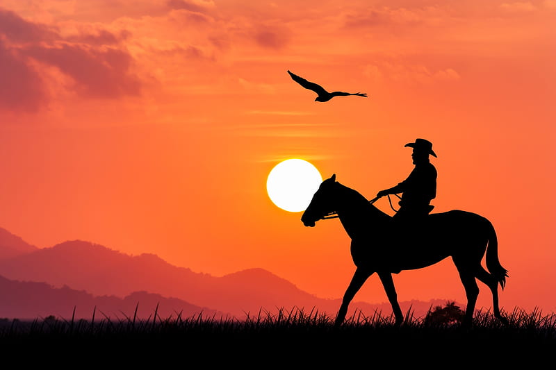 wild west, grass, sunset, horse, sillouette, cowboy, HD wallpaper