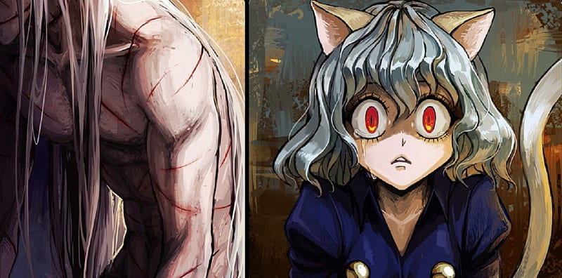 hunter x hunter kite vs neferpitou fight