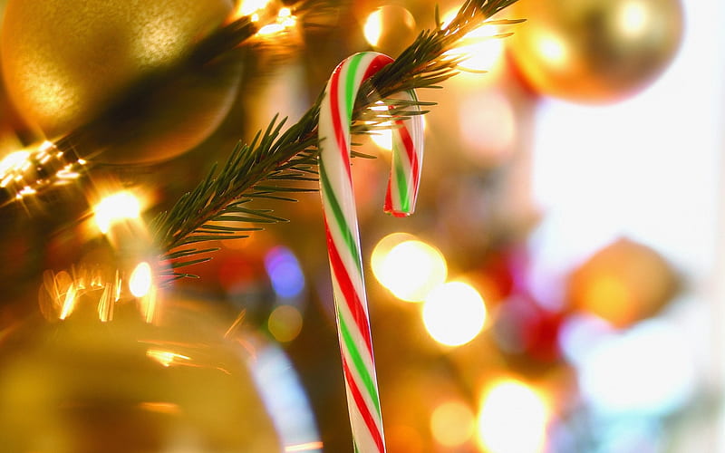 - Candy Cane on Christmas Tree, HD wallpaper