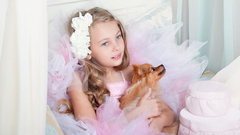 Grey Eyes Cute Little Girl With Dog Is Wearing Pink Dress Cute, HD wallpaper