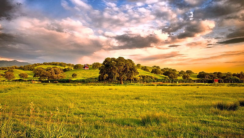 wonderful rural landscape, farms, tree, clouds, fences, HD wallpaper