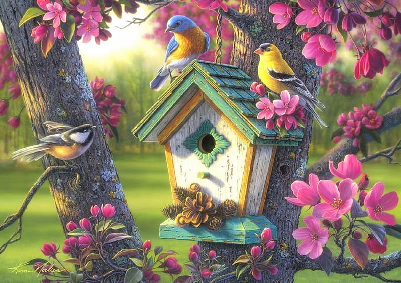 Springtime Beauty, love four seasons, birds, spring, attractions in dreams, paintings, birdhouse, flowers, nature, animals, HD wallpaper