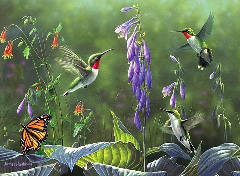 Hummingbirds, butterfly, painting, birds, flowers, blossoms, artwork ...