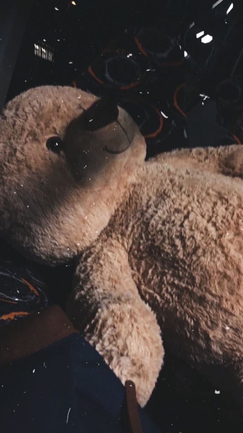 Teddy Bear, aesthetic, animal, cute, HD phone wallpaper | Peakpx
