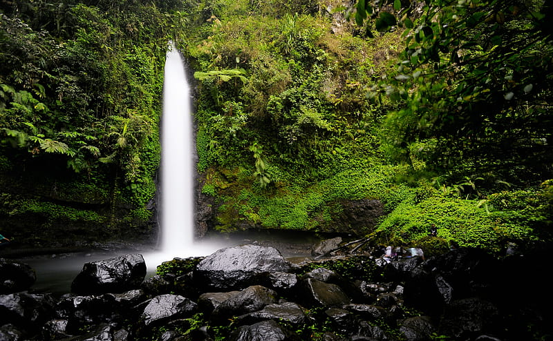 Rainforest Waterfall Ultra, Nature, Forests, Waterfall, Water, Indonesia, Stones, Sukabumi, situgunung, westjava, HD wallpaper