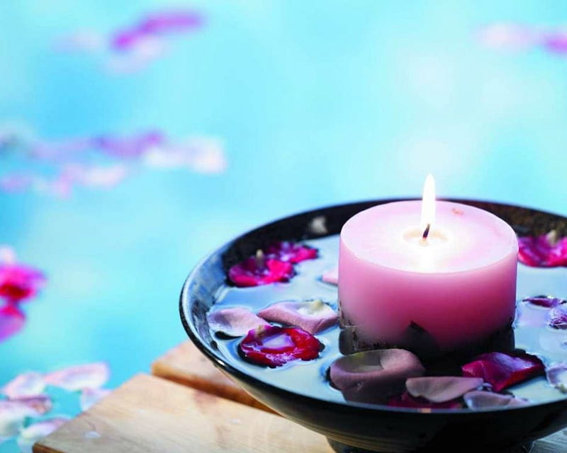 Pink Candle, candle, spa, petals, pink, HD wallpaper | Peakpx