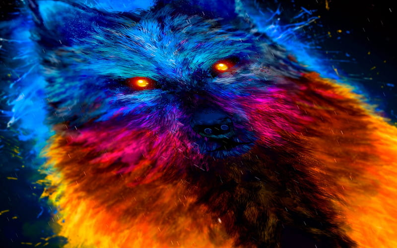 painted color wolf, art, paint, wolf, predator, poster, creative, HD wallpaper