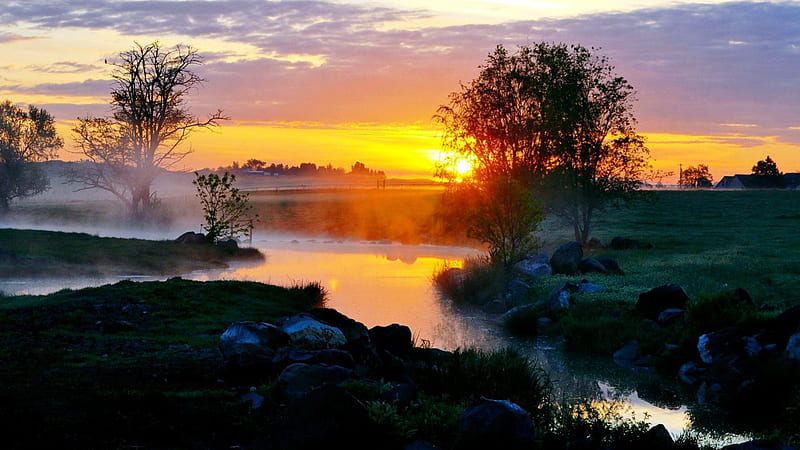 wonderful sunrise landscape, farms, river, sunrise, trees, mist, HD wallpaper