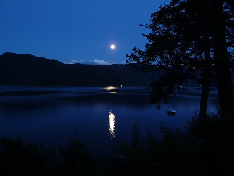 Moonshine at Night, hills, shine, trees, sky, silhouette, lake, moon, dark, nature, reflection, landscape, blue, night, HD wallpaper