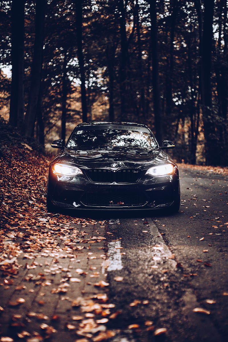 bmw, car, black, front view, autumn, HD phone wallpaper