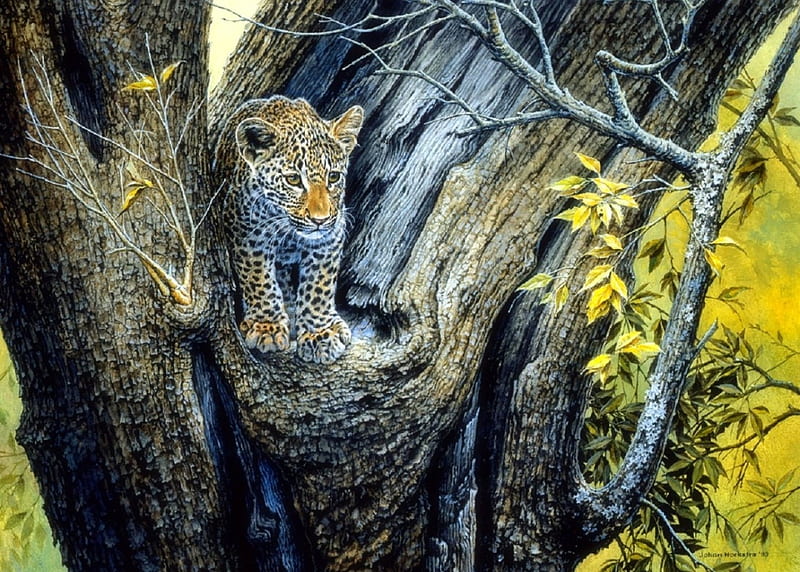 Leopard Juvenile in Tree, big wild cats, leopard, paintings, draw and  paint, HD wallpaper | Peakpx