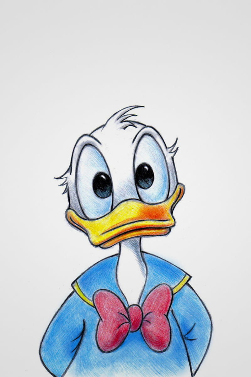 Donald Duck, cartoons, disney, HD phone wallpaper