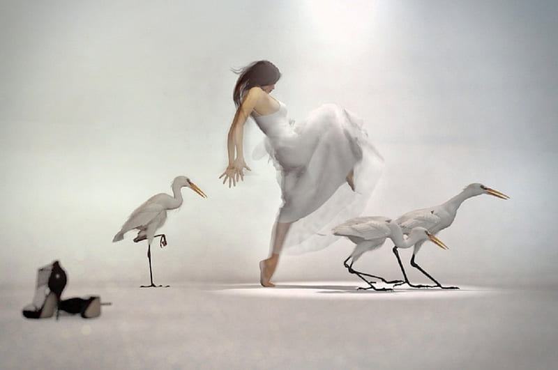 Woman and a stork, music, stork, dance, white, woman, HD wallpaper