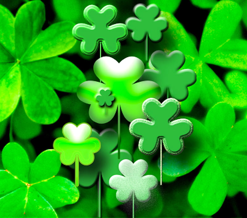 Shamrocks, blarney, clover, green, irish, shamrock, st patrick, HD wallpaper