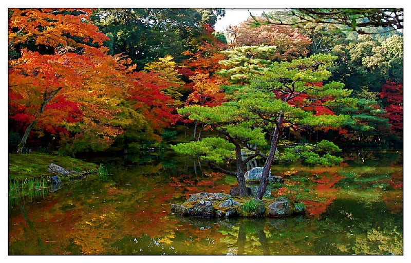 Japanese garden in autumn, autumn, water, nature, japanese garden, HD wallpaper