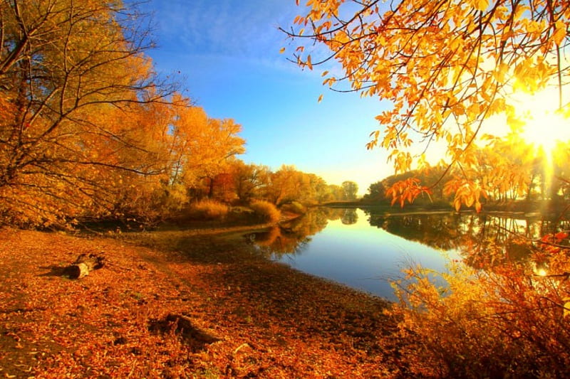 Autumn lake, fall, autumn, glow, shore, dazzling, bonito, river ...